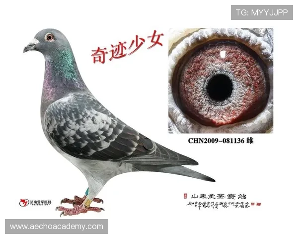 2024年AG国际厅注册官网详细步骤及安全保障措施确保玩家账号信息安全 2024年AG国际厅注册官网详细步骤及安全保障措施确保玩家账号信息安全