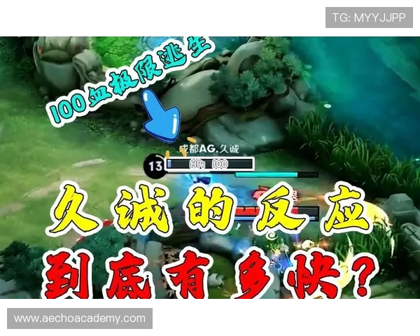 优化ag试玩登录线路的实用技巧，提升登录速度与稳定性体验